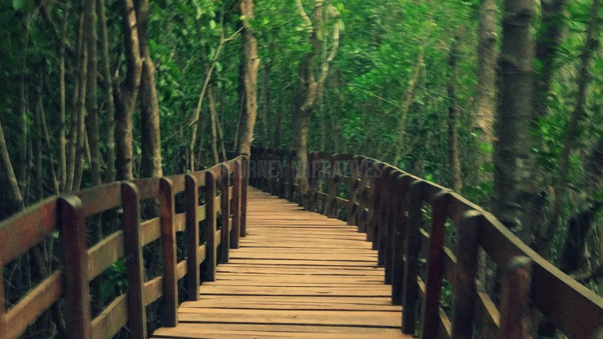 Mangrove Shores Honnavar