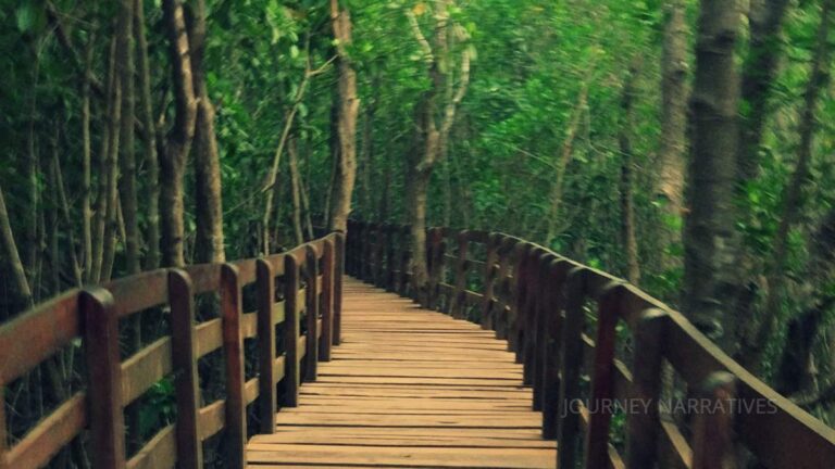 Mangrove forest boardwalk in Honnavar showcasing unique estuarine ecosystems and coastal biodiversity