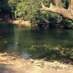 Forest and river landscapes in India showcasing natural ecosystems shaped by flowing water and time