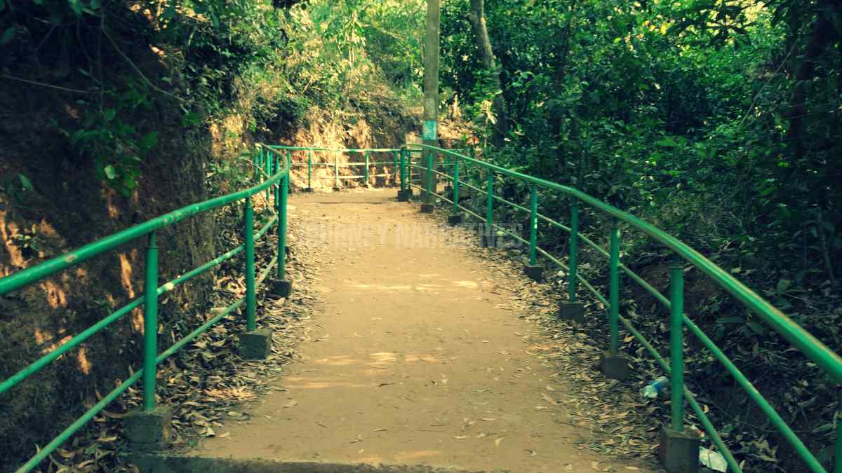 Travel Experiences in India