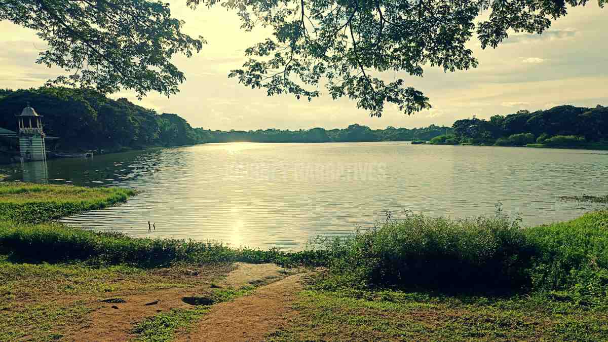 Best things to do in Mysuru