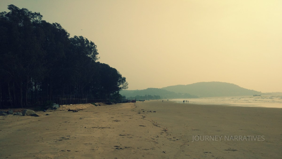 Pristine beach in India featuring clean sands, clear waters, and a peaceful coastal environment
