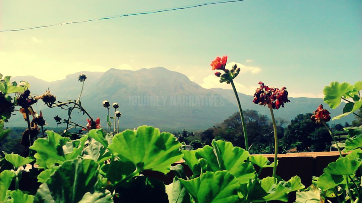 Erode to Masinagudi to Ooty