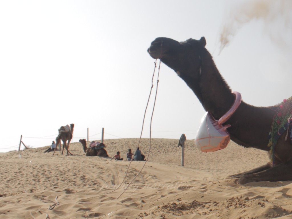 Osian Desert Jodhpur