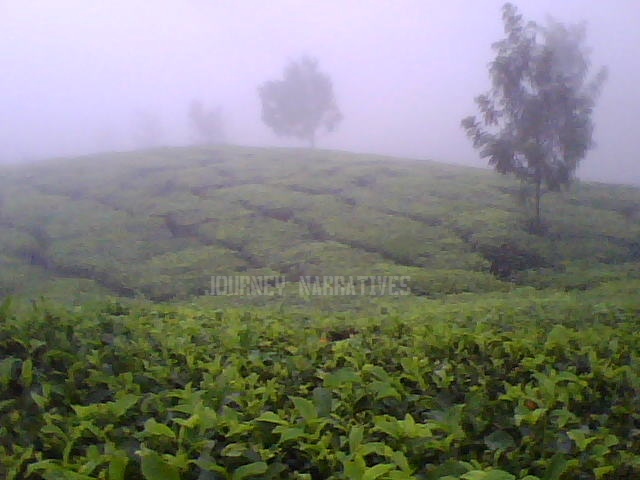 Munnar
