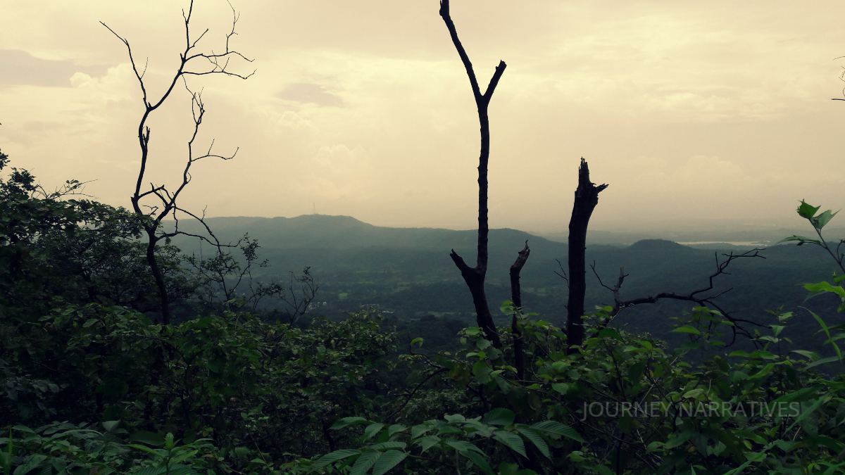 Dense mountain forests along the Bengaluru to Ooty route showcasing the beauty of the Western Ghats