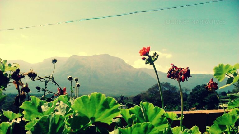 Forests and mountain ranges in Masinagudi viewed from a hotel along the route to Ooty