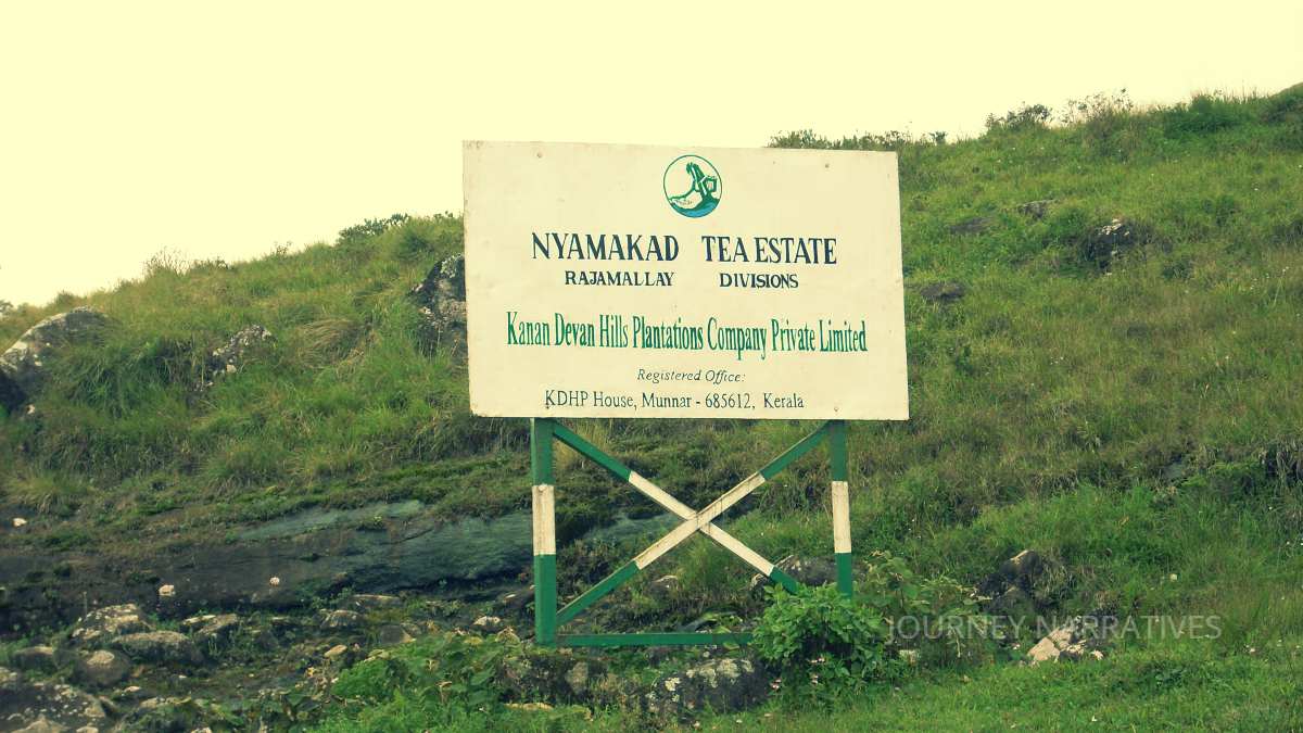 Scenic tea plantations in India surrounded by rolling hills and lush green landscapes