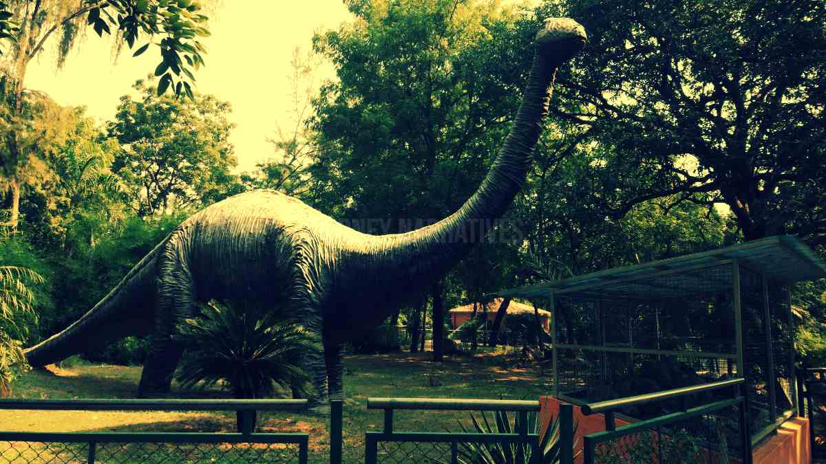 Indroda Nature Park Gujarat