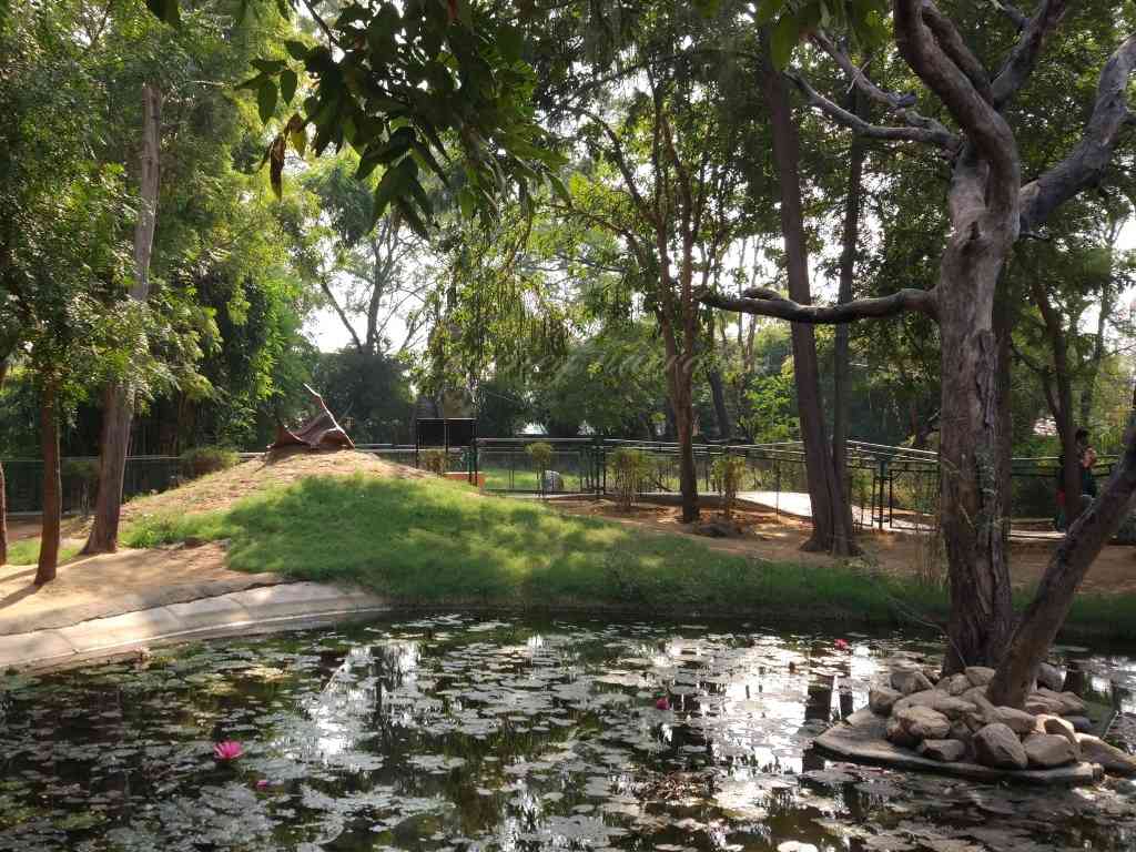 Indroda National Park