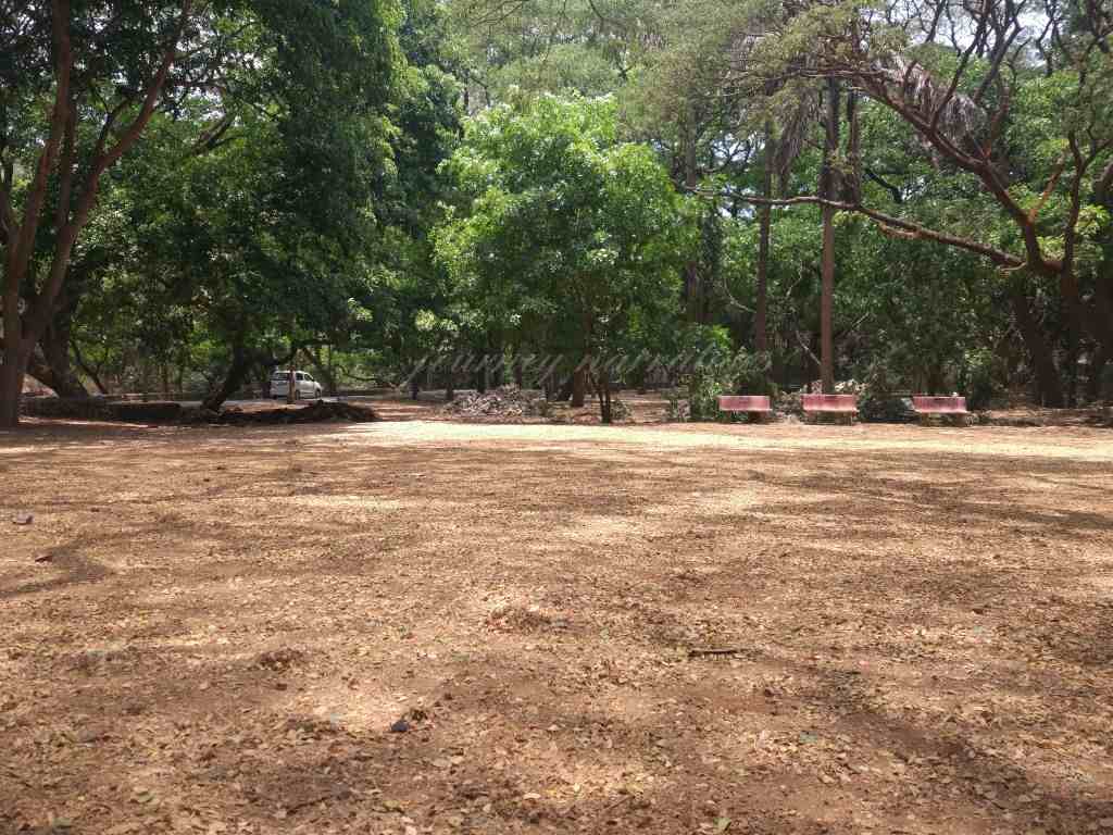 Sanjay Gandhi National Park Mumbai