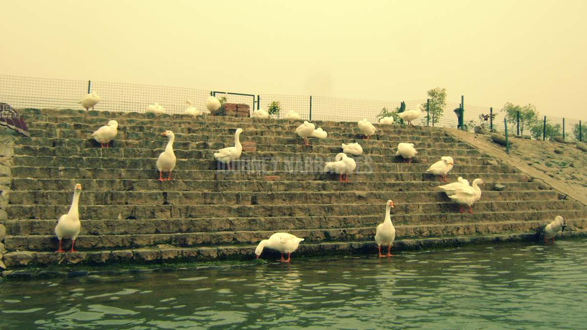 Sukhna Lake Chandigarh
