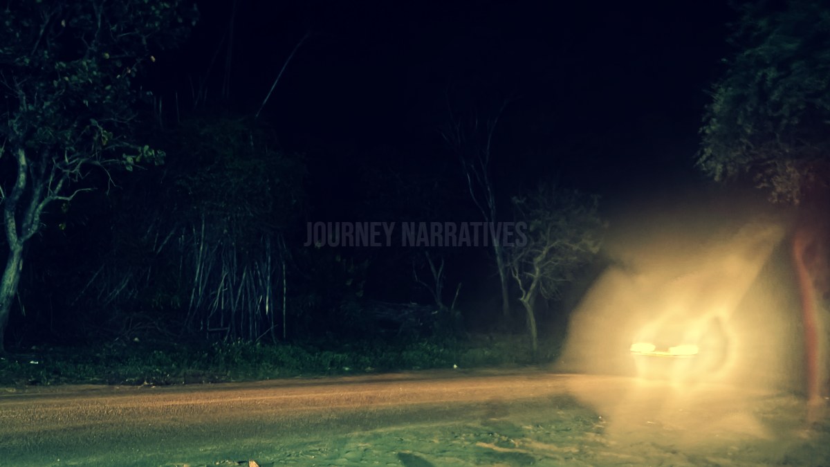 Sathyamangalam Forest