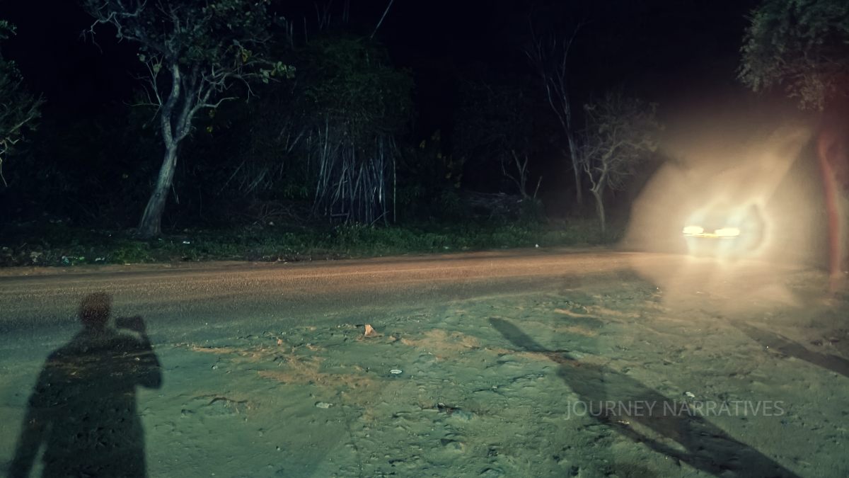 Night view of Sathyamangalam Forest, one of South India's largest wildlife habitats and forest ecosystems