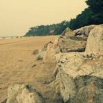 Varkala Beach and dramatic coastal cliffs overlooking the Arabian Sea in Kerala