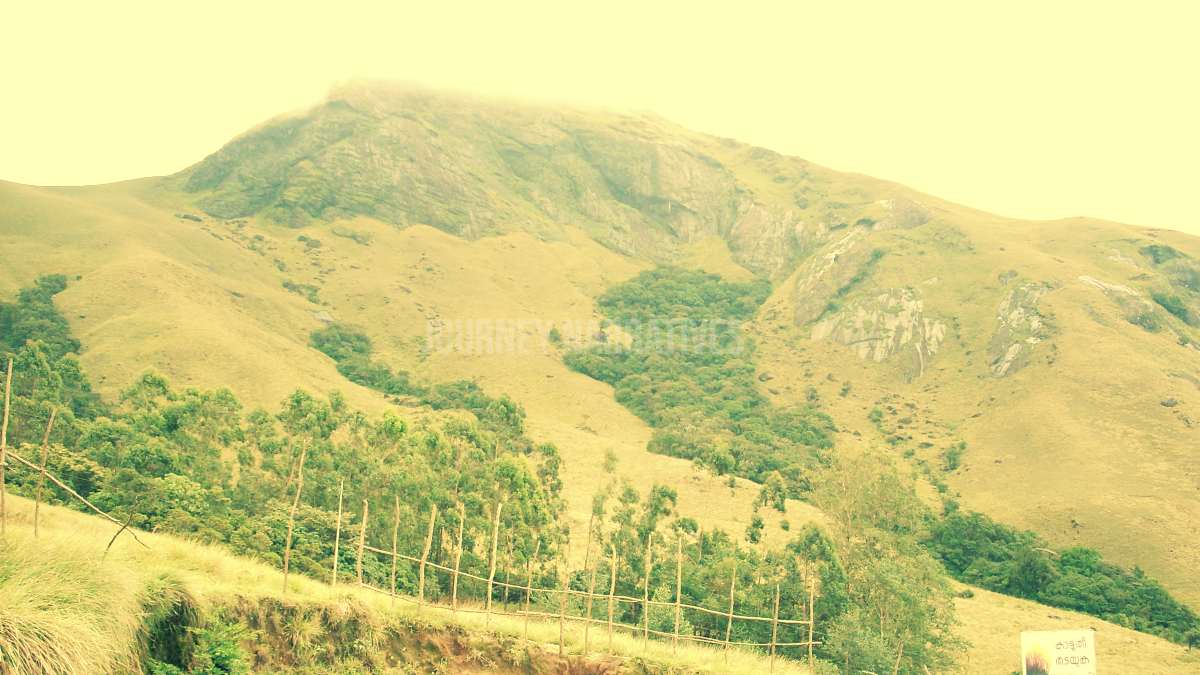 Munnar Mountains