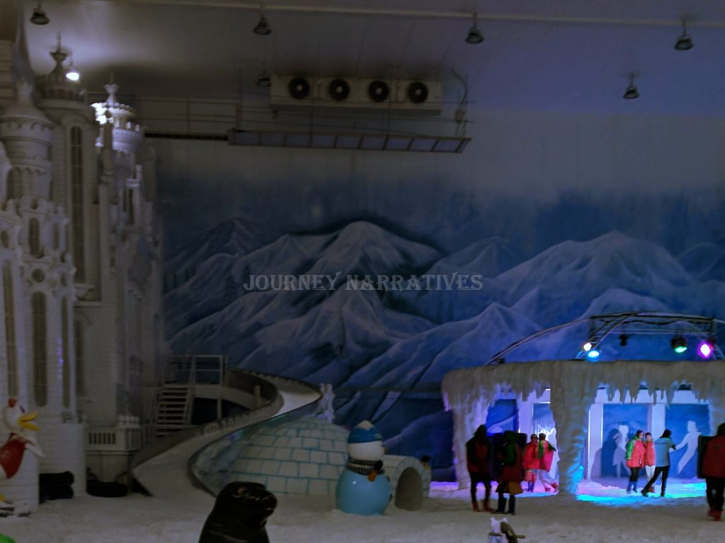 VGP Snow Kingdom Inside