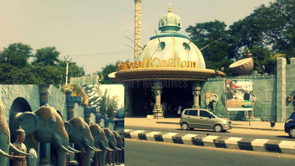 VGP Universal Kingdom