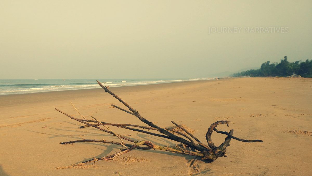 Diverse coastal landscapes in India featuring beaches, cliffs, estuaries, and shoreline scenery