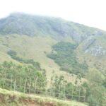 Mountain landscapes in Munnar featuring rolling hills and tea-covered highlands in Kerala