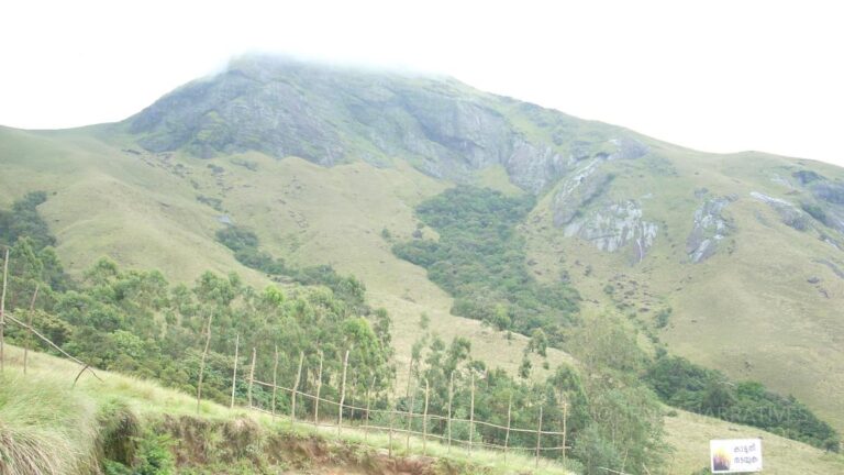 Mountain landscapes in Munnar featuring rolling hills and tea-covered highlands in Kerala