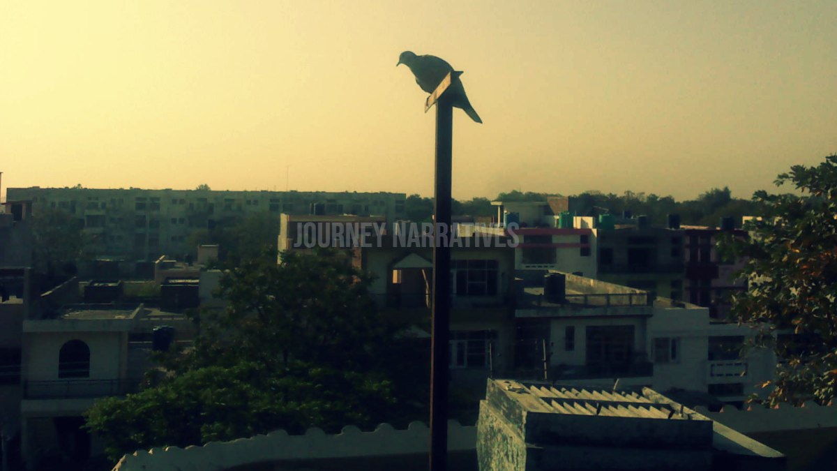 Is Chandigarh Worth Visiting