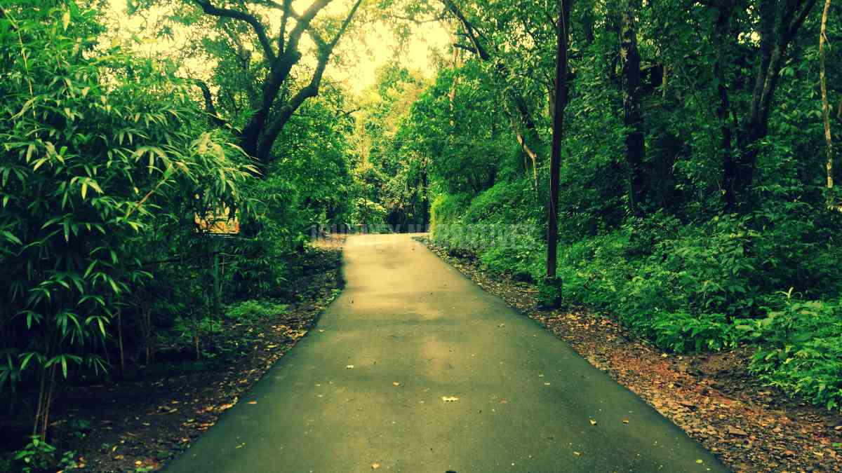 Well-Planned India Travel Itineraries
