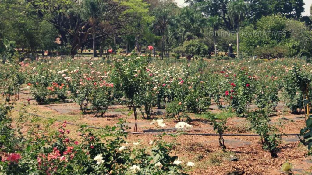 Urban attractions and green spaces in Bengaluru