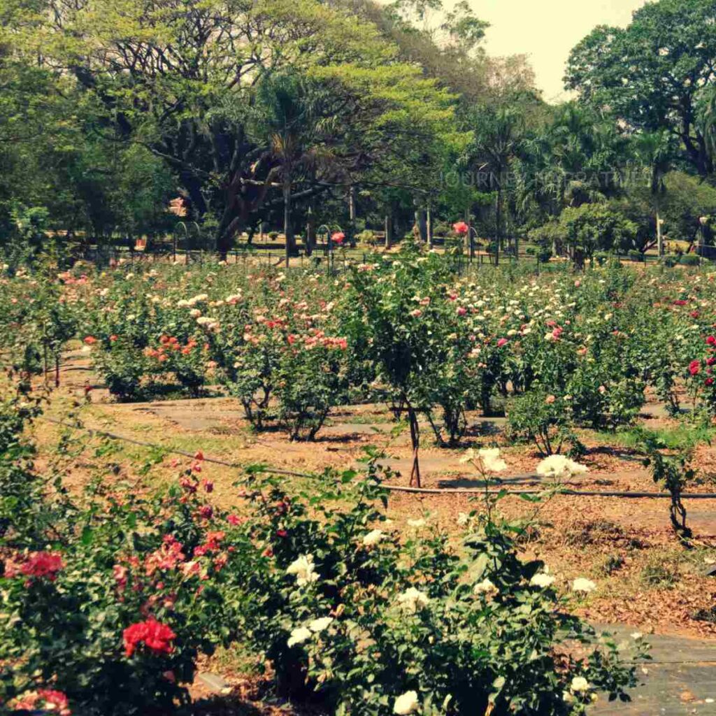 Urban attractions and green spaces in Bengaluru