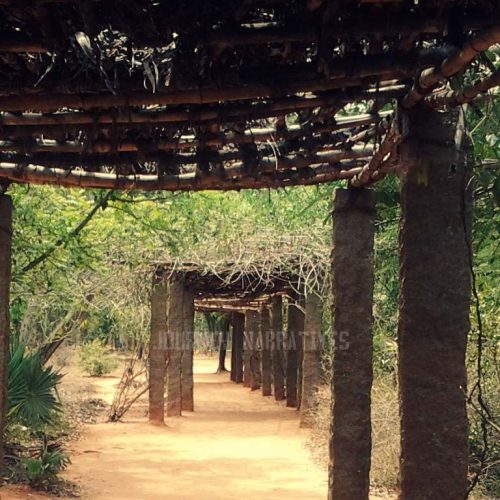 Exploring the Beauty of Auroville in 2016: A Journey of Spirituality, Harmony, and Unity