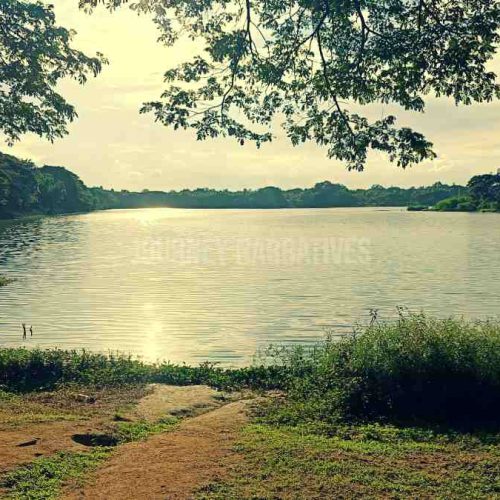 Best things to do in Mysuru