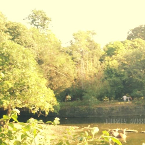 Mumbai’s Green Gem – Byculla Zoo – My Best Wildlife Day in 2025