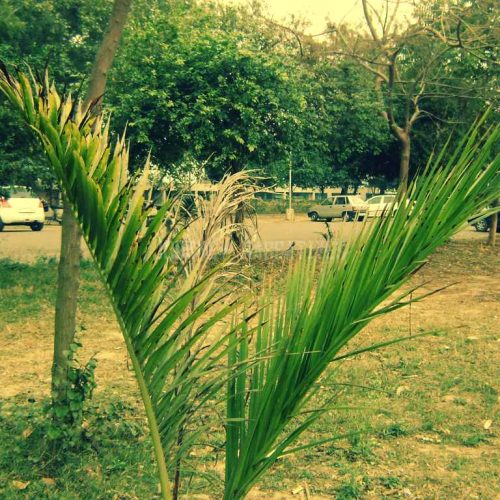 7 Must-Visit Sectors Of Chandigarh — Your Ultimate Guide To Beauty, Order & Urban Charm