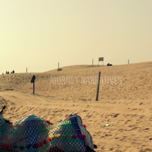 Diverse landscapes of India