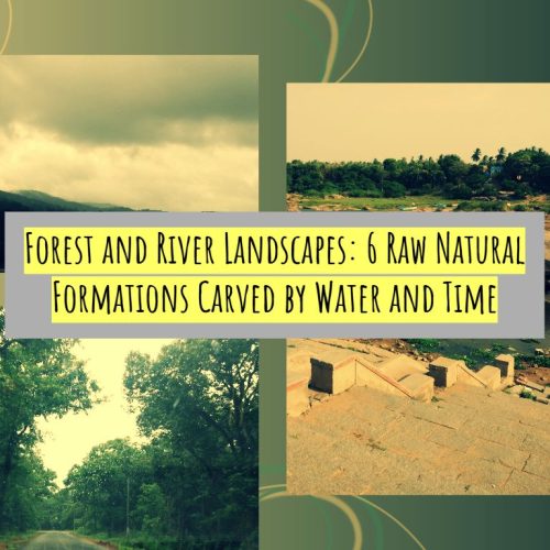 Forest and River Landscapes: 6 Raw Natural Formations Carved by Water and Time