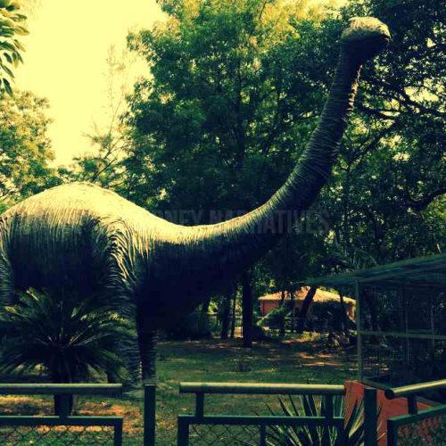 Indroda Nature Park Gujarat