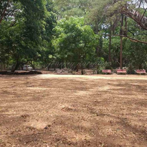 7 Reasons My Visit to Sanjay Gandhi National Park in Mumbai Was Truly Unforgettable
