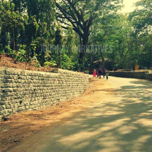 Sanjay Gandhi National Park Mumbai