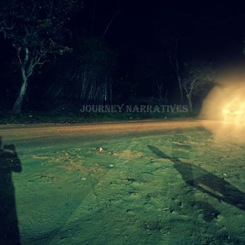 Sathyamangalam Forest: 5 Untamed Wilderness Zones Sustained by Rivers and Rain