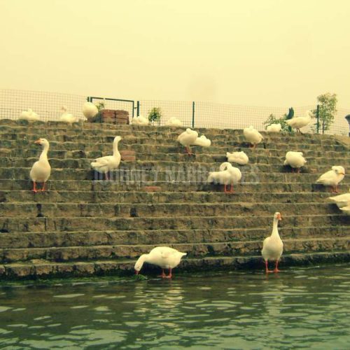 Sukhna Lake Chandigarh