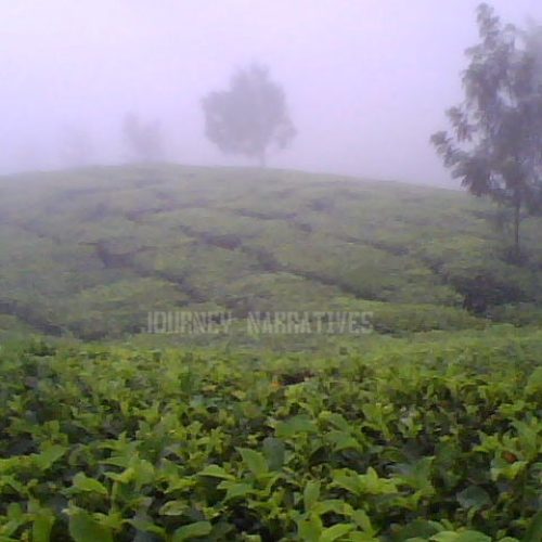 Munnar