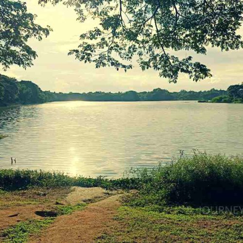 Scenic lake in Mysuru, one of the city's popular attractions and relaxing places to visit